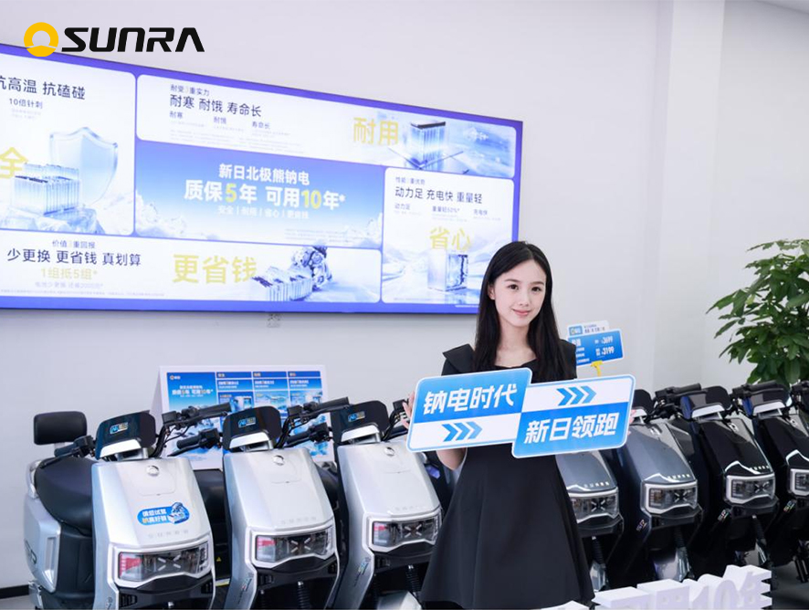 the two-wheeled electric vehicle industry